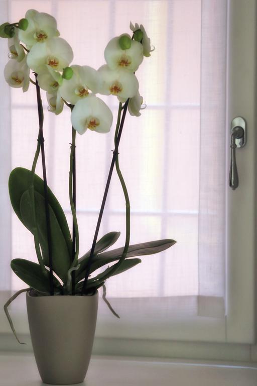 Boutique Apartments Verona Luaran gambar